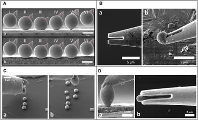 Advances in assembled micro- and nanoscale mechanical contact probes